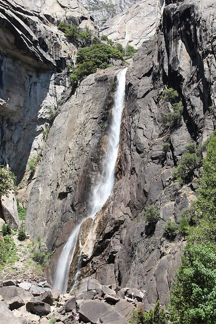 Lower Yosemite fall