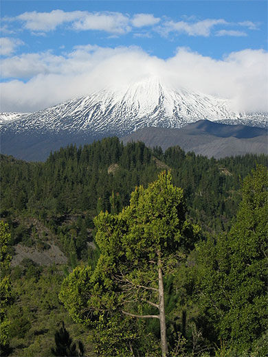 Volcan Laja