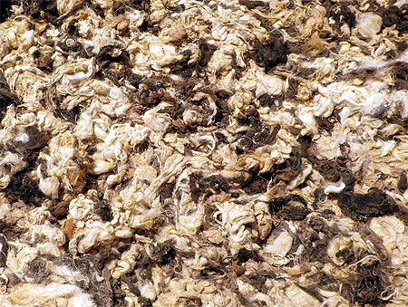 Les restes de mouton entassés près des bacs de teinture Les restes de mouton entassés près des bacs de teinture