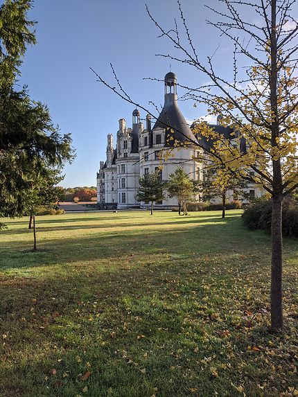 Pelouses royales du Château de Chambord