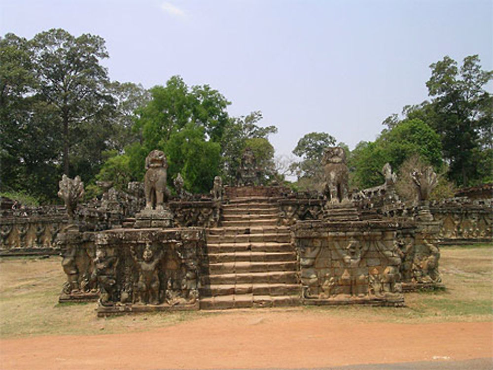 Terrasse des éléphants