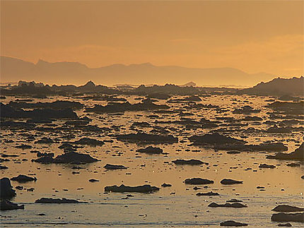 Sous le soleil de minuit au Groenland