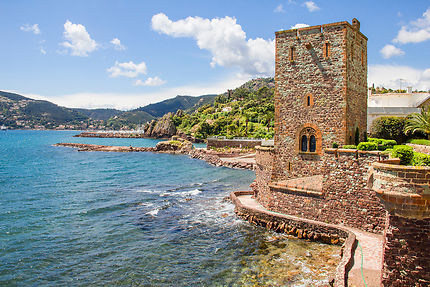 La splendeur jaune d'or de la route du Mimosa sur la Côte d'Azur