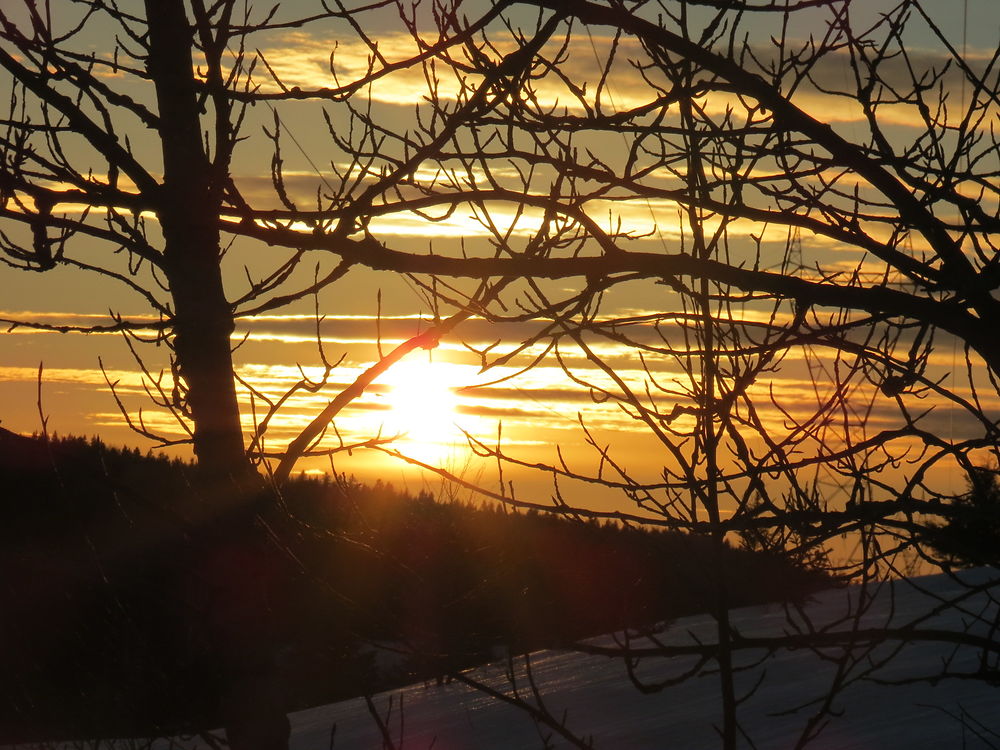 Coucher de Soleil à St-Donat.