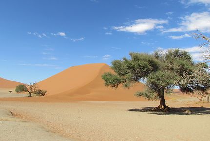 Dune 45 désert Namibie