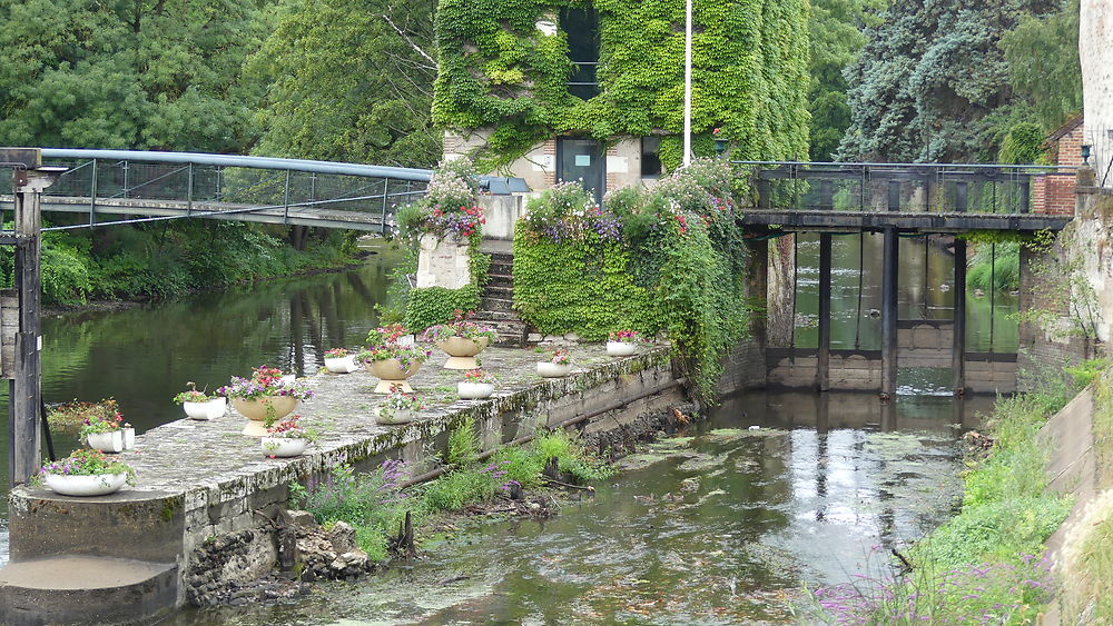 Romorantin lanthenay, Sologne, Loir et Cher