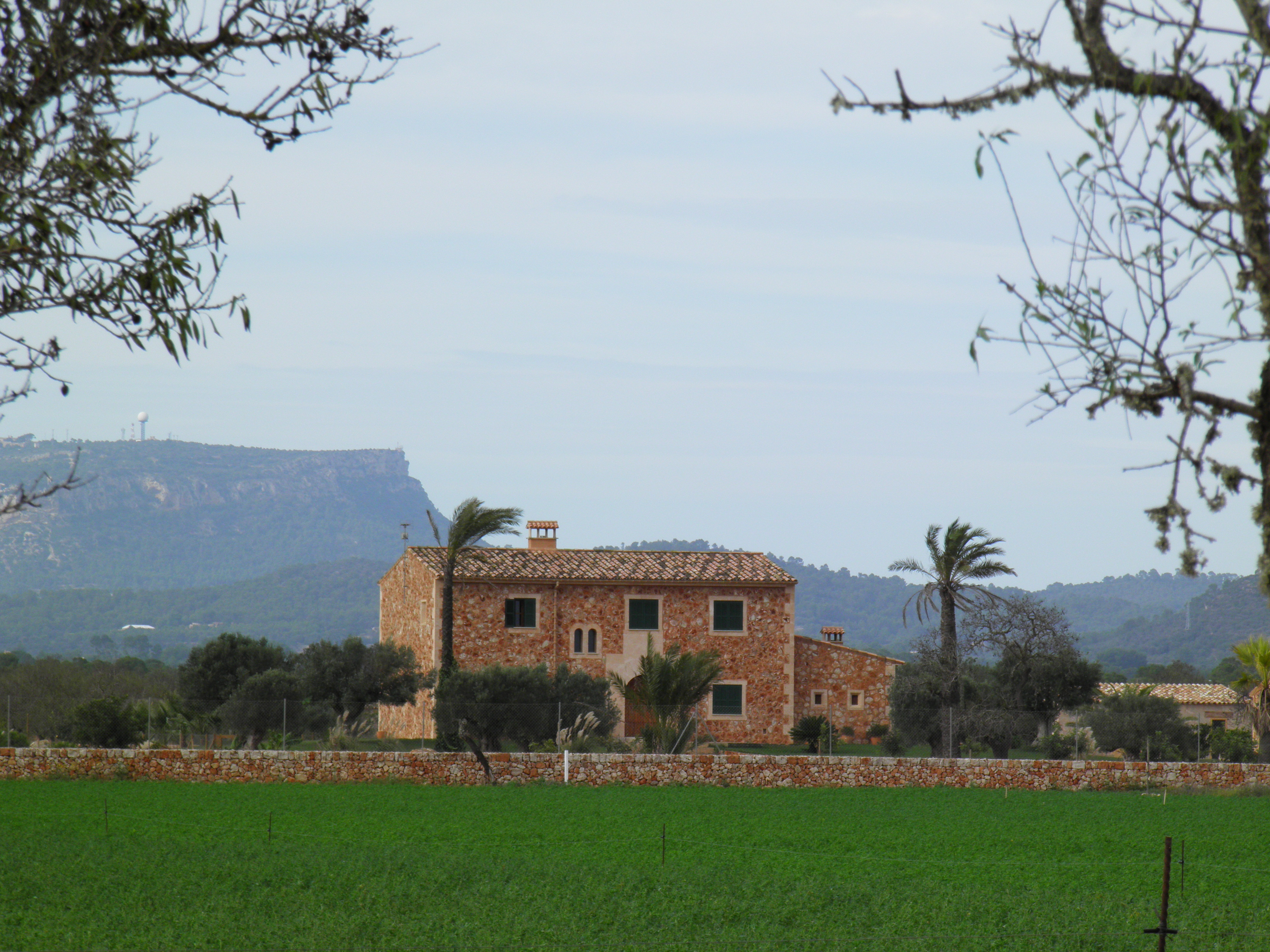 Finca Finca