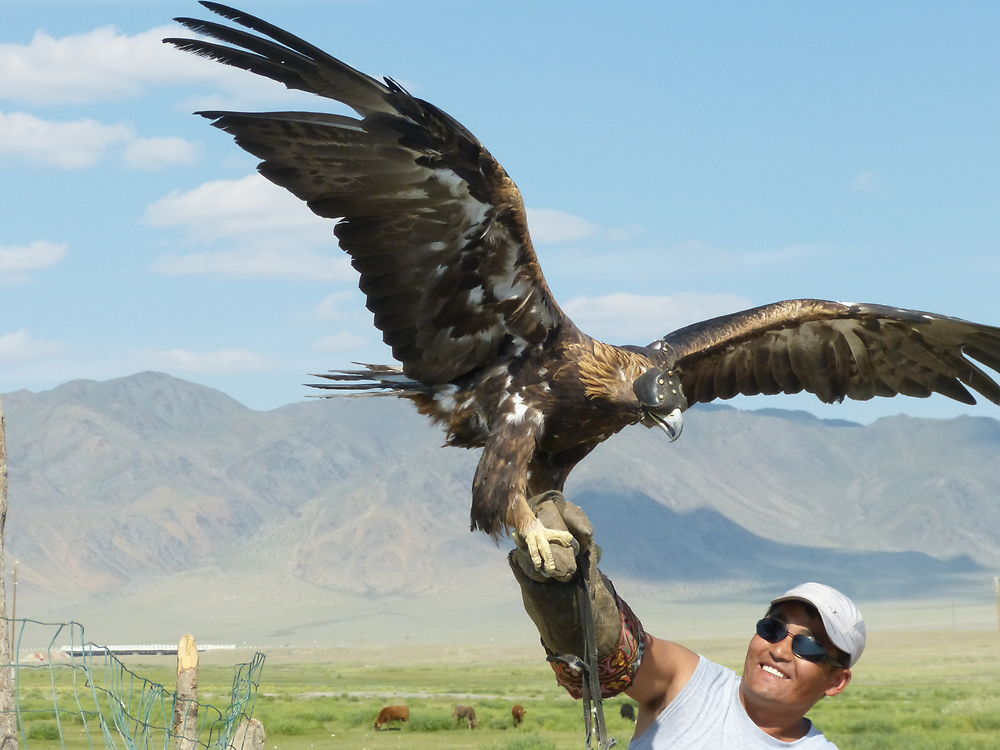 En attendant l'ouverture de la chasse à l'aigle