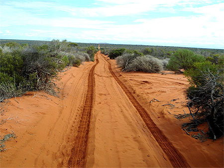 Tracks 4x4 Tracks 4x4