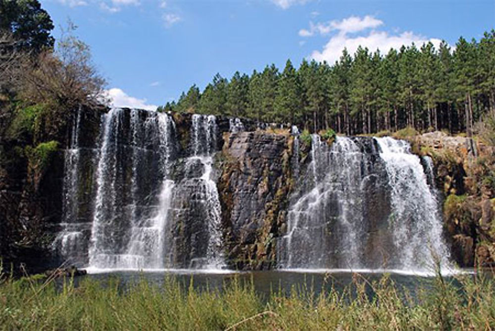 Forest falls sur la route des cascades