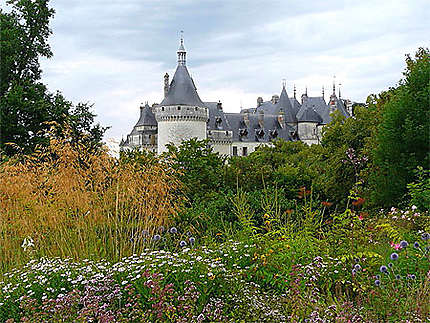 Château de Chaumont S/Loire