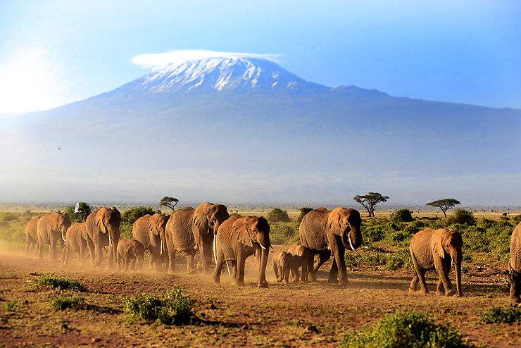 Kenya et Tanzanie : Noël avec les animaux