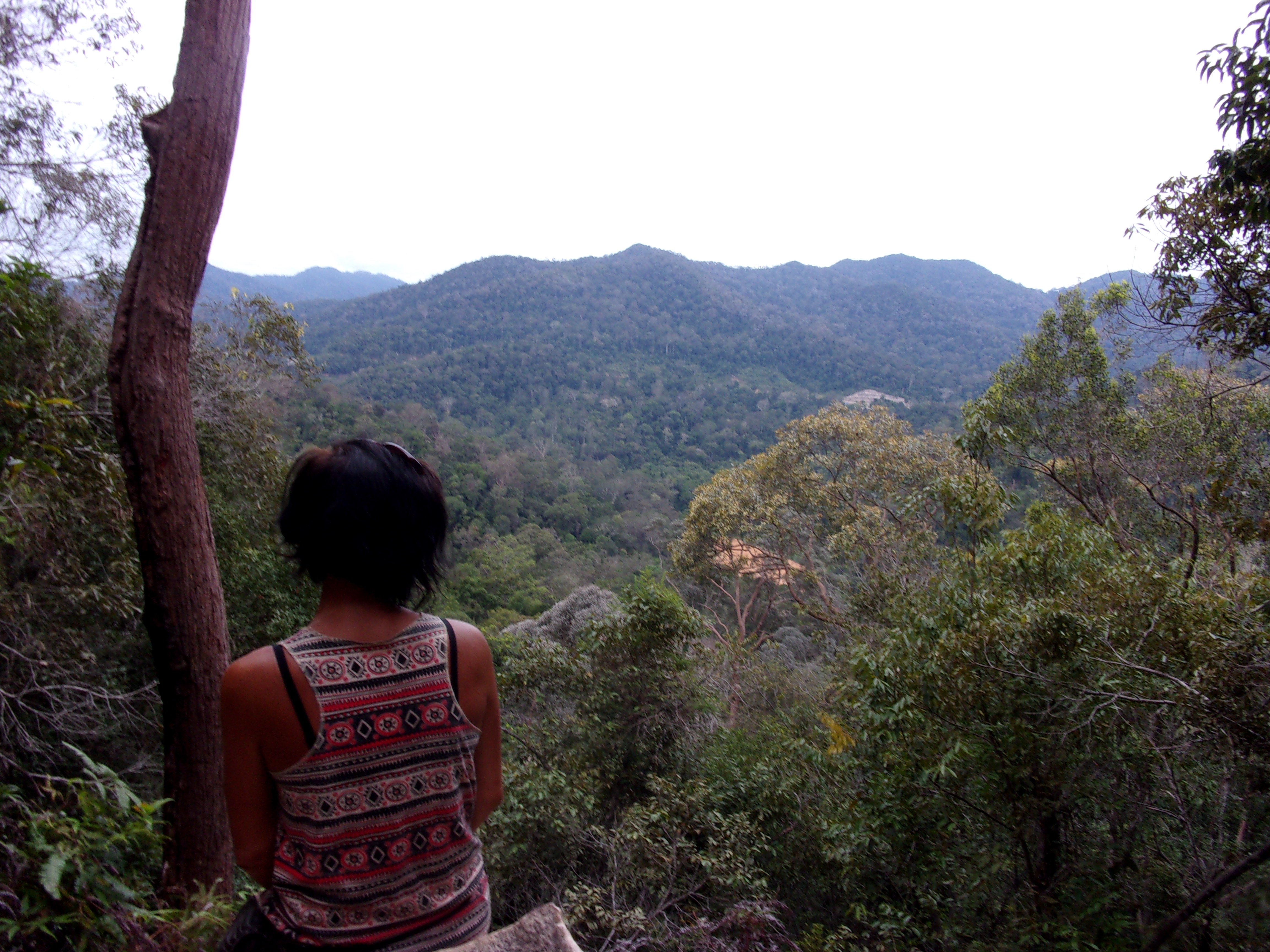 Récompense après 3 heures de montée dans la jungle Récompense après 3 heures de montée dans la jungle