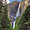 Yosemite Park en Californie