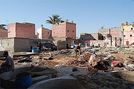 Les tanneurs de Marrakech