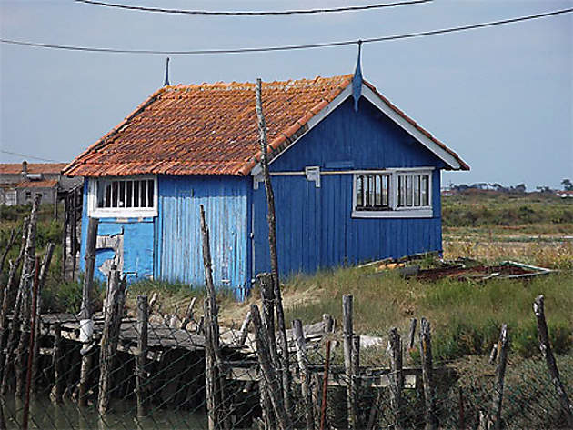 Cabane de pêcheurs à Dolus : Dolus-d'Oléron : Île d'Oléron : Charente