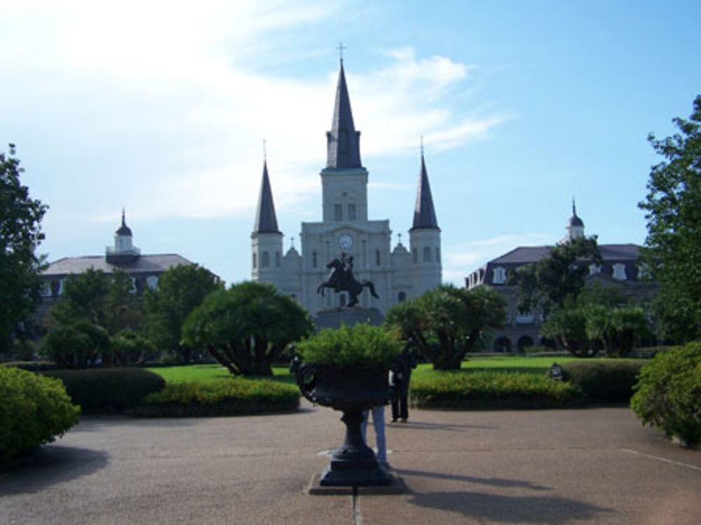 Cathédrale Saint Louis