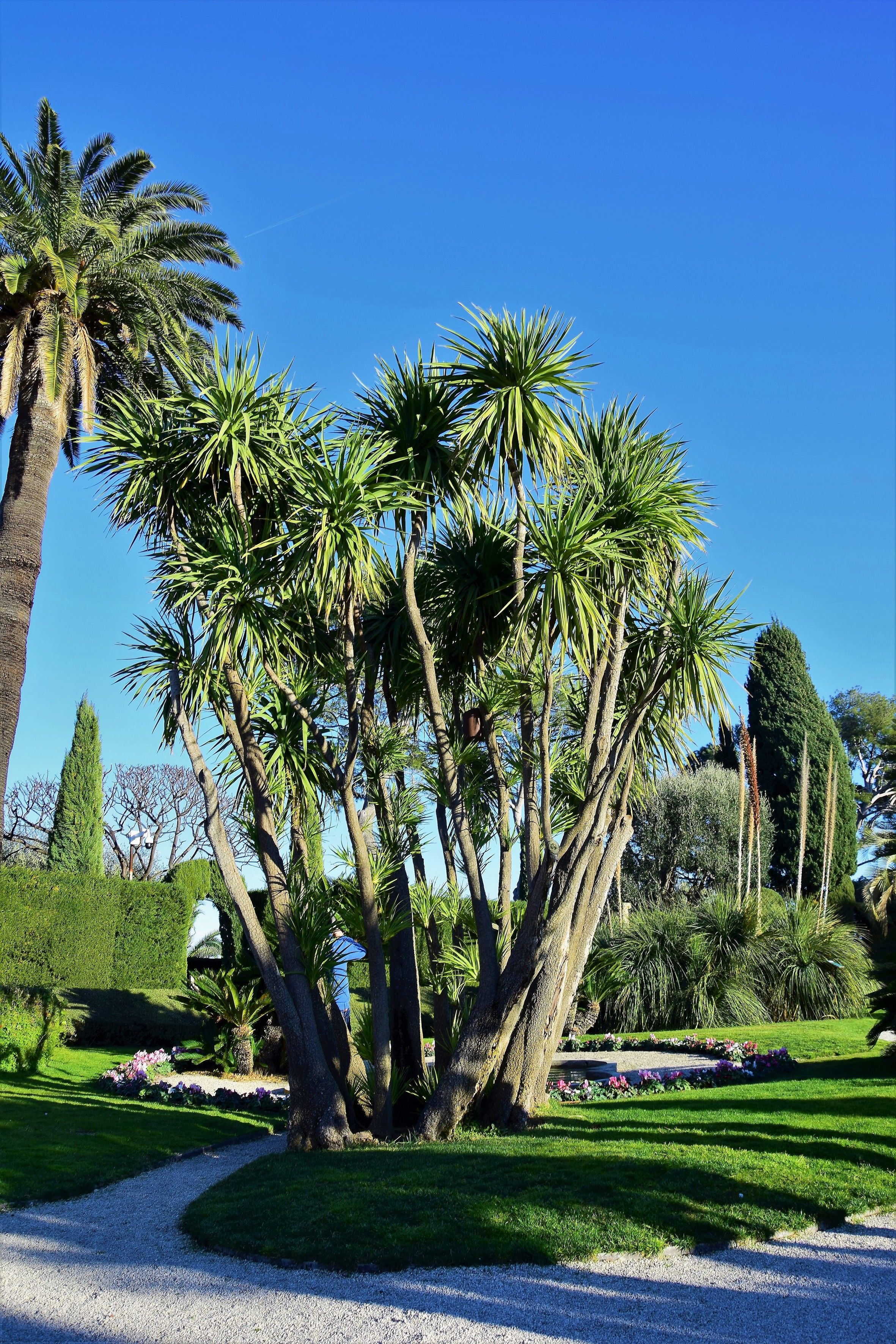 Plantations des jardins de la villa Rothschild