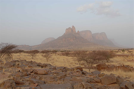 Savane malienne Savane malienne