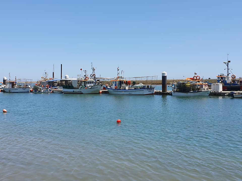 Bateaux de pêche dans le port de Santa Luzia Bateaux de pêche dans le port de Santa Luzia