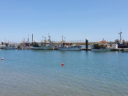 Bateaux de pêche dans le port de Santa Luzia