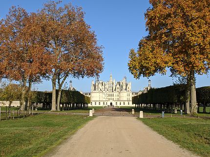 Feuilles d'automne au Château de Chambord