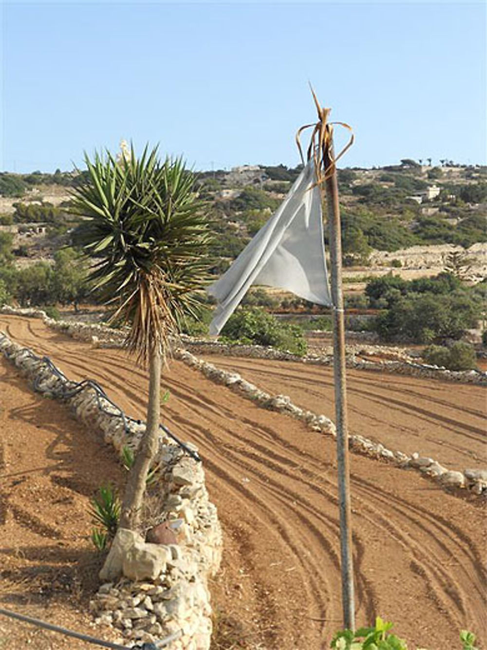 Champs à Zurrieq