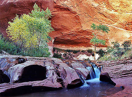 Cascades de Coyote Gulch