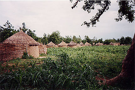Village de brousse