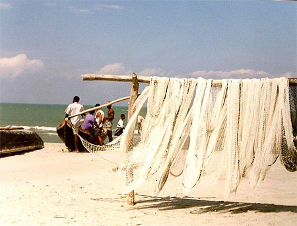 Filets de pêche au vent