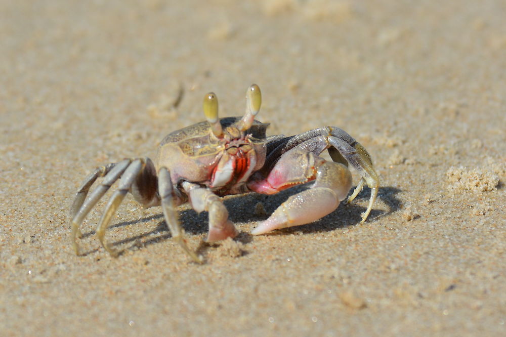 Sur la plage