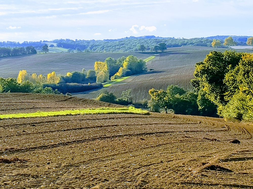 Magnifique paysage du Gers, Vic-Fezensac