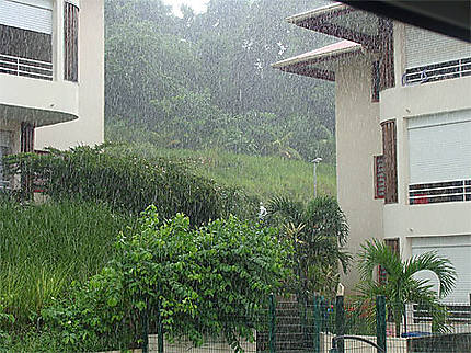 La pluie sur Cayenne