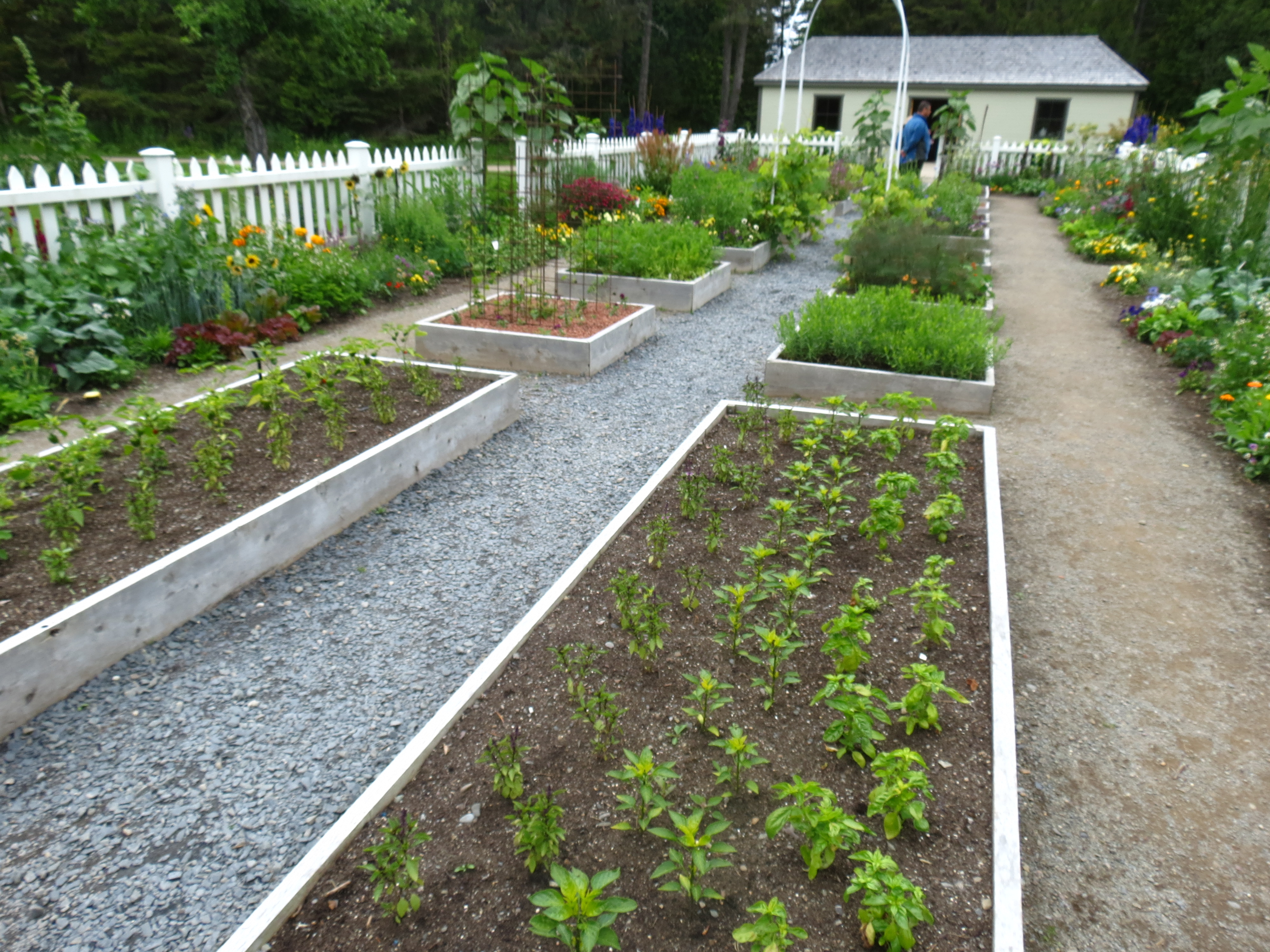 Potager aux Jardins de Métis Potager aux Jardins de Métis