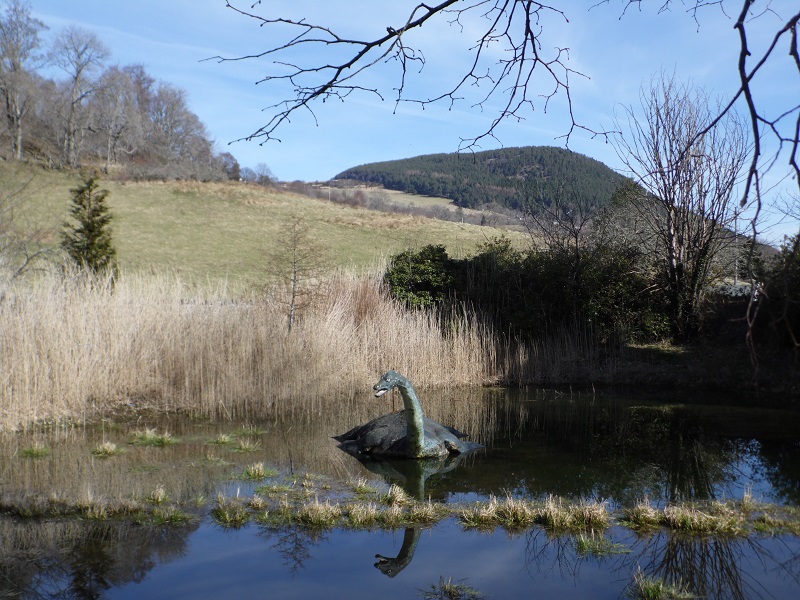 Nessie Nessie