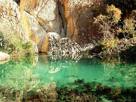 oasis : Oasis d'Hazoua : Région de Tozeur, Gafsa et Kebili : Tunisie