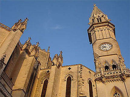Cathédrale de Manacor