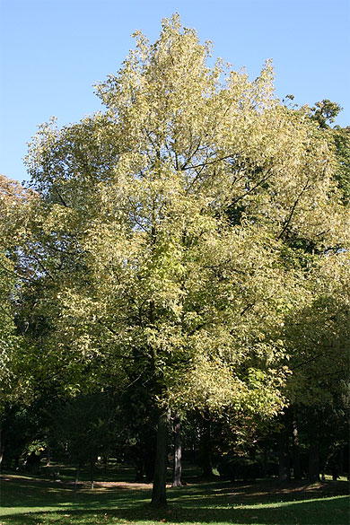 Couleurs d'automne Couleurs d'automne
