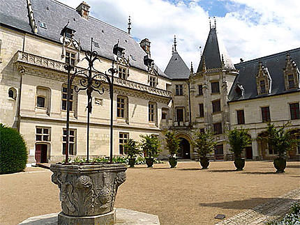 Château de Chaumont S/Loire