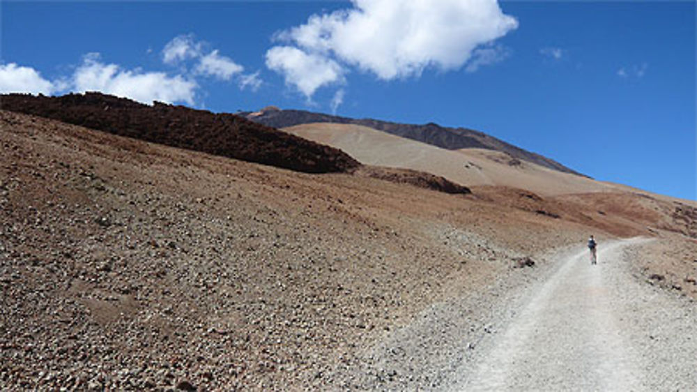 Ascension Montana Blanca