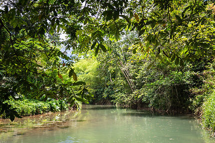 Great River à Montego Bay, Jamaïque