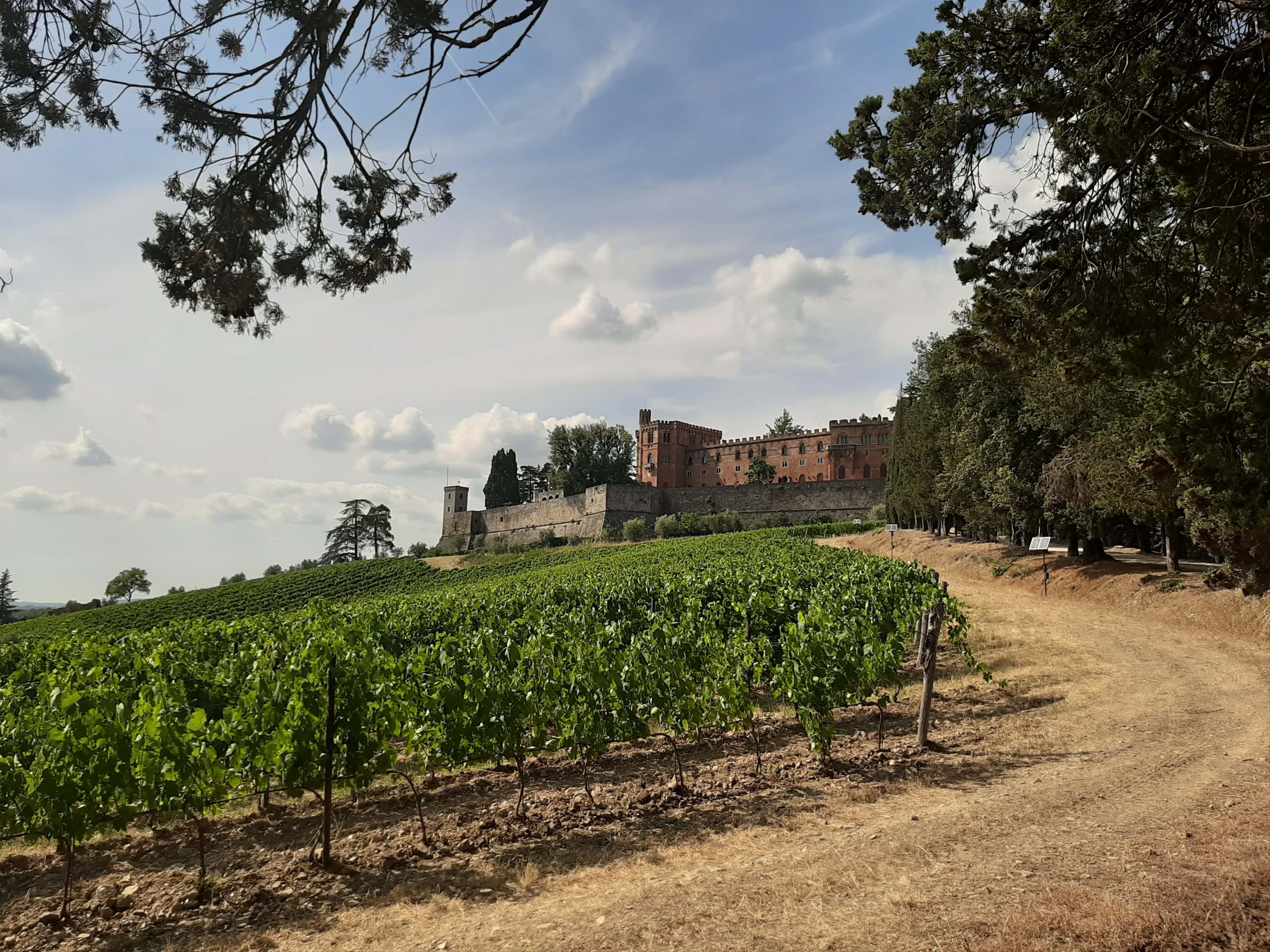 Le château de Brolio Le château de Brolio