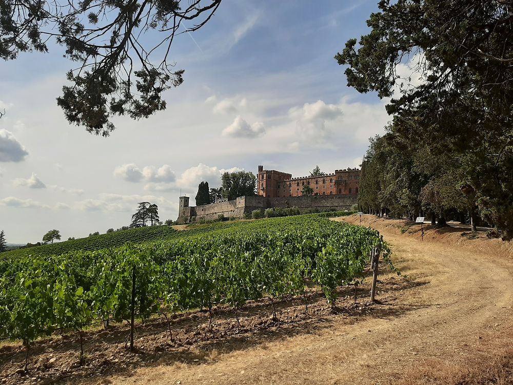 Le château de Brolio 