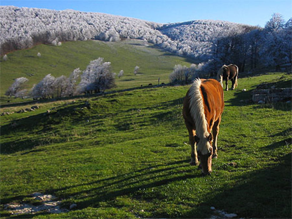 Plateau d'Ambel