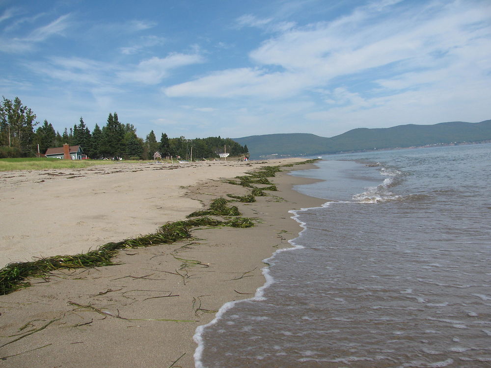 Plage à Haldimand (Gaspé)