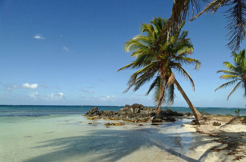 La côte de Big Corn Island