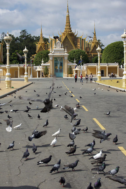 Pigeons et Palais Royal de Phnom Penh