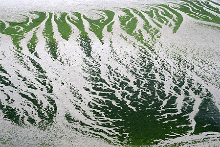 Baie de Saint Brieuc à marée basse Baie de Saint Brieuc à marée basse