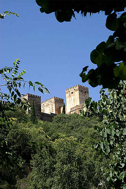 Aperçu des tours de l'Alhambra