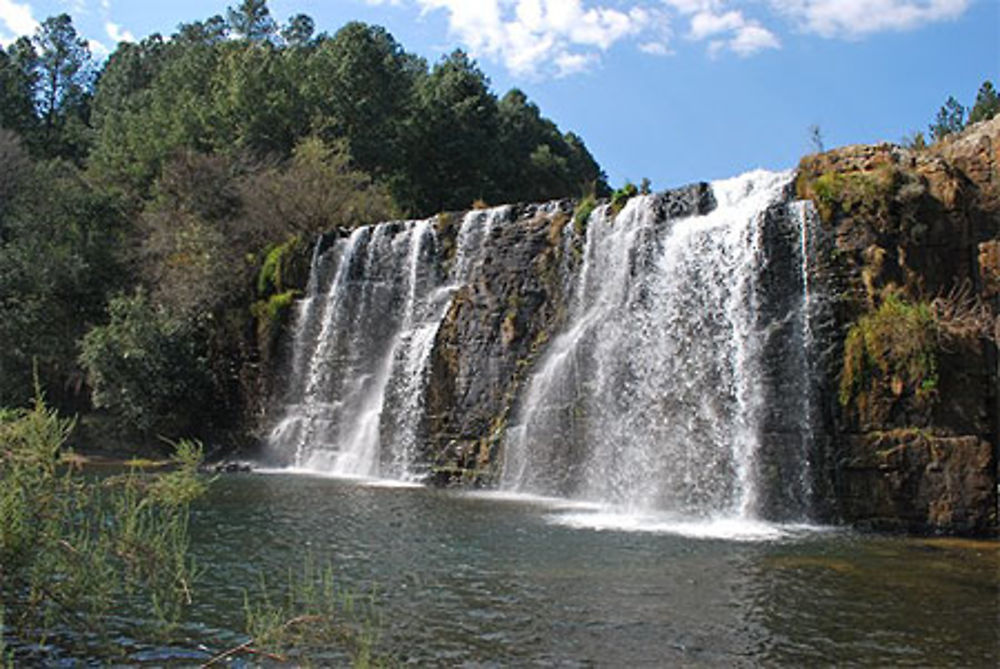 Forest falls sur la route des cascades